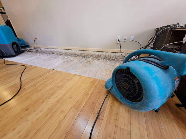 Professional Emergency Water Damage technician working in Eagle Lake, FL